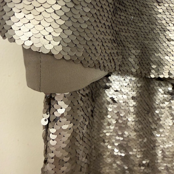 Banana Republic Shimmering Silver Mini Sequin Dress - Picture 6 of 13